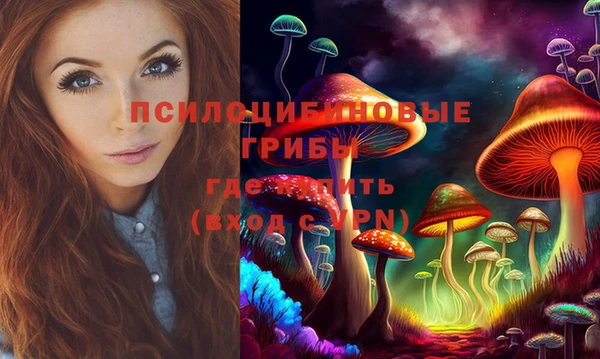 шишки Алзамай