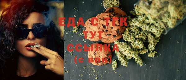 дурь Инсар