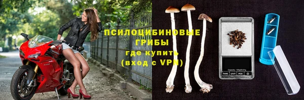 шишки Алзамай
