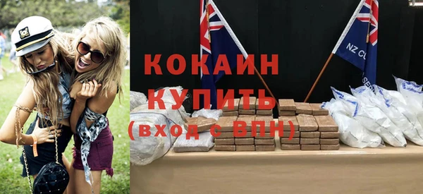 ПСИЛОЦИБИНОВЫЕ ГРИБЫ Инта